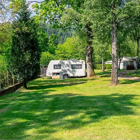 Les Terrasses Des Bouleaux Et 캠프장 *