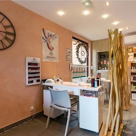 Les Terrasses Des Bouleaux Et 캠프장 Ranspach